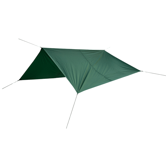 Tarp