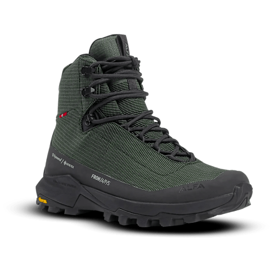 Fron APS GTX W