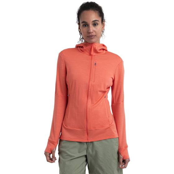 W Merino 260 Quantum IV LS Zip Hoodie 