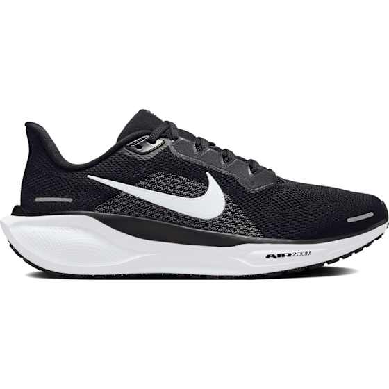 Pegasus 41 Dame