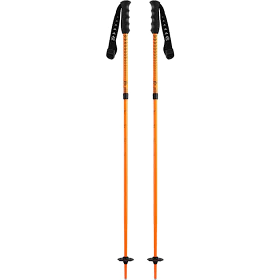 Duos Junius Poles