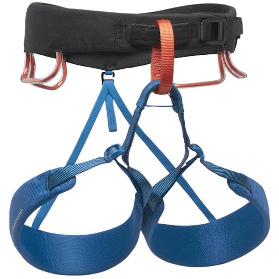 M Momentum Harness