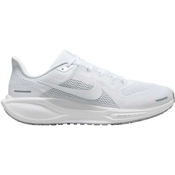 Pegasus 41 Herre