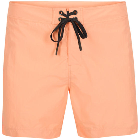 6incher Plunge Swim Trunk M