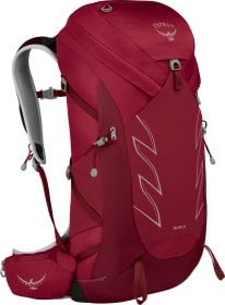 Talon 36