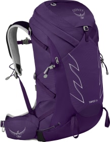 413/Violac Purple