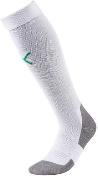 Team LIGA Socks CORE