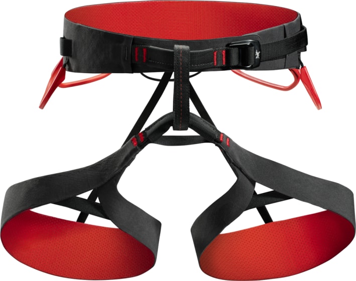 C-quence Harness Ws