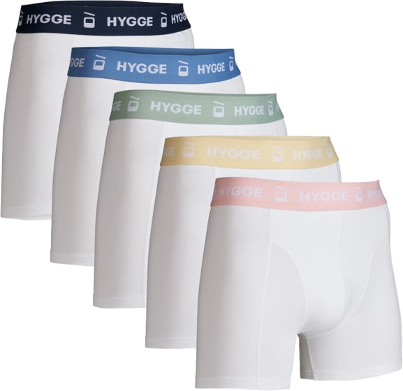 Boxershorts 5-Pack Herre