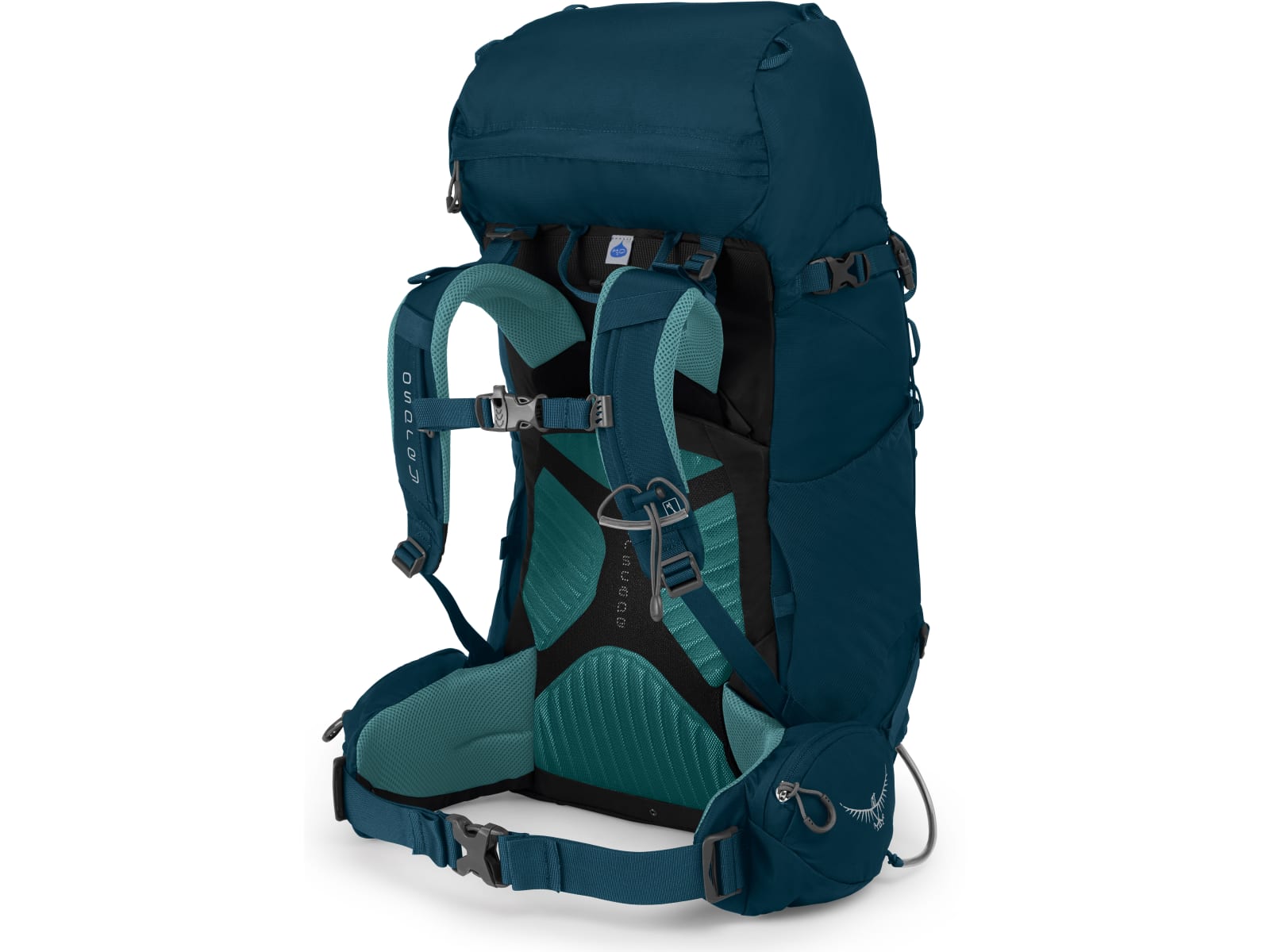 Osprey kyte 36 on sale