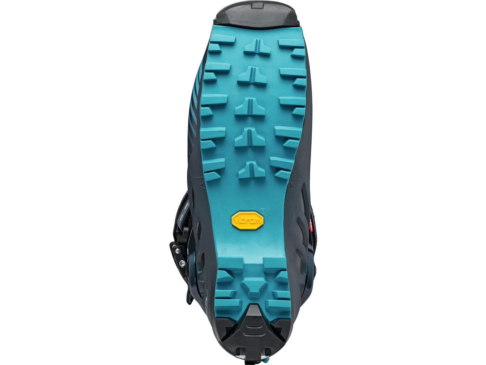 Scarpa f1 8th shop