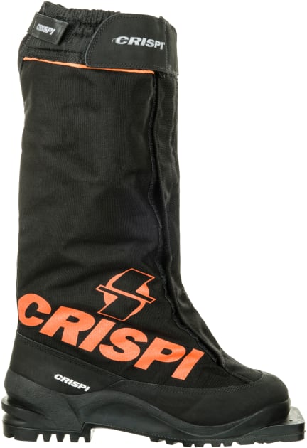 Crispi