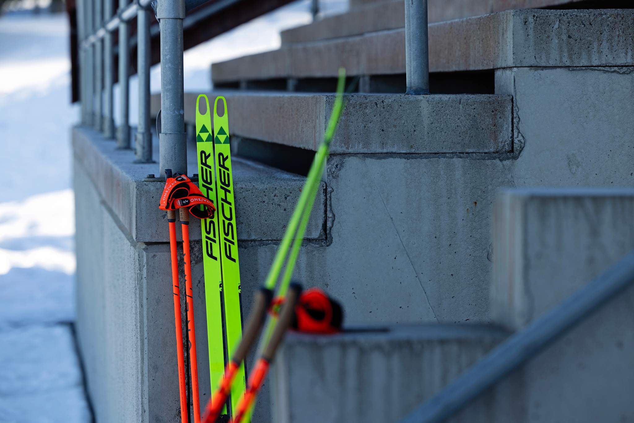 Eos langrennski 
