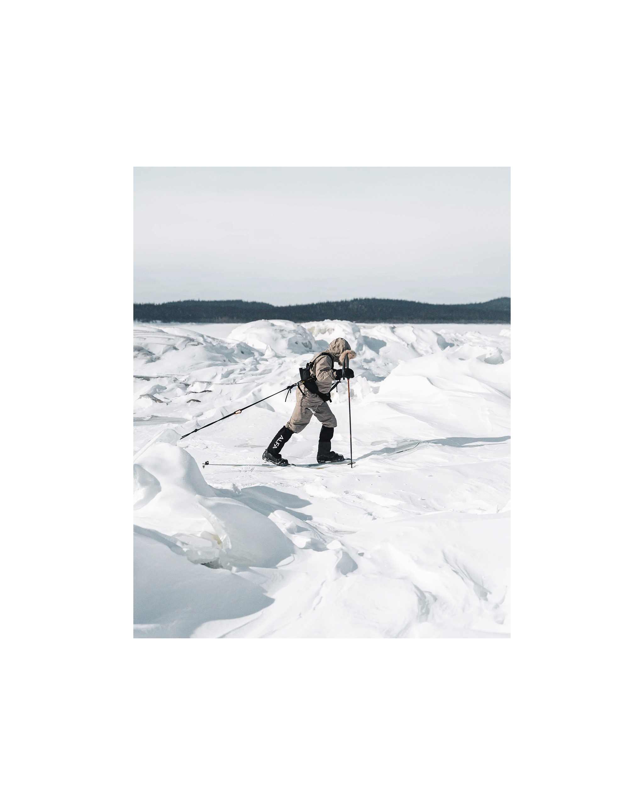 Fjellskiuker