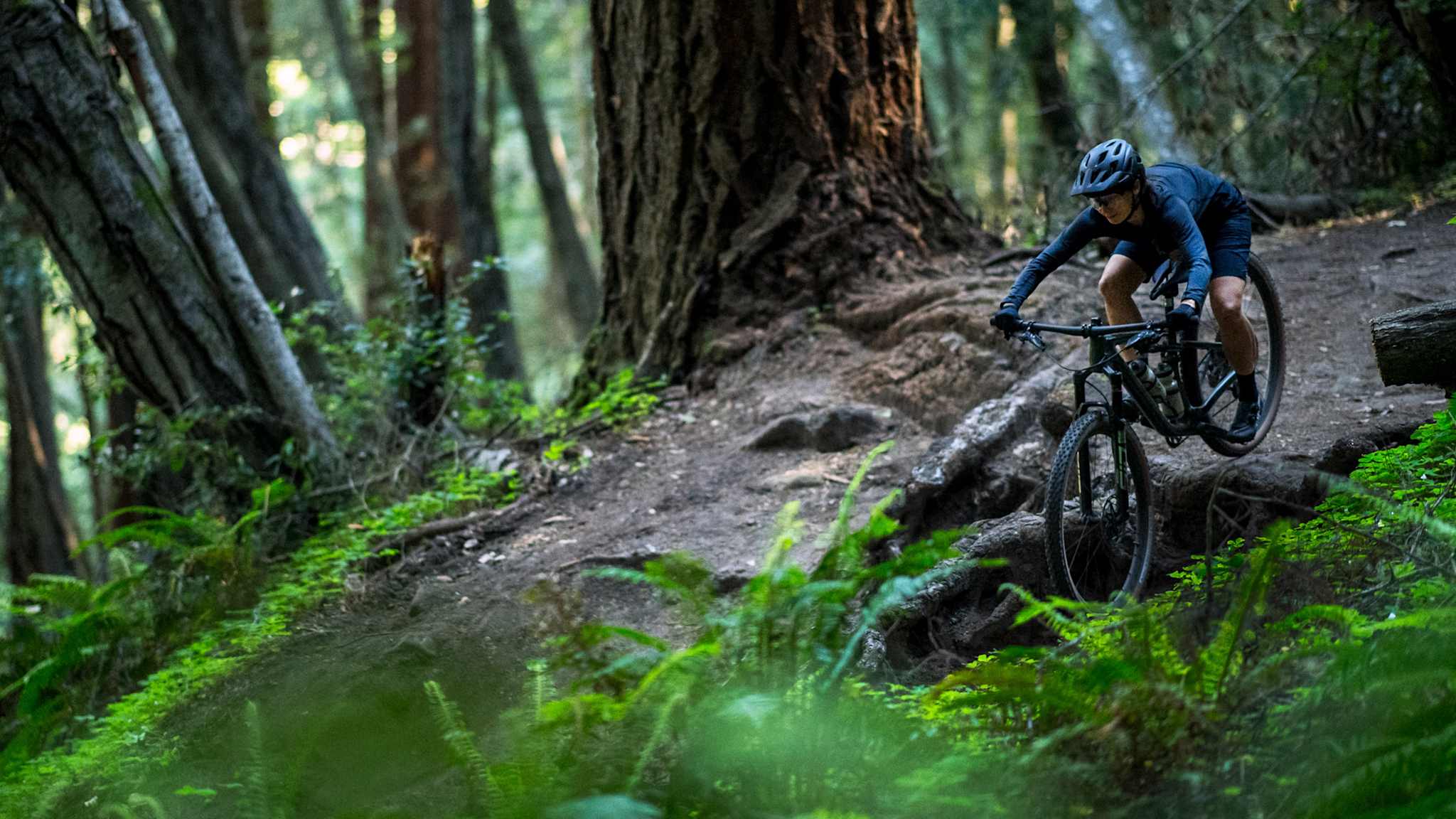 Nyheter Specialized 23